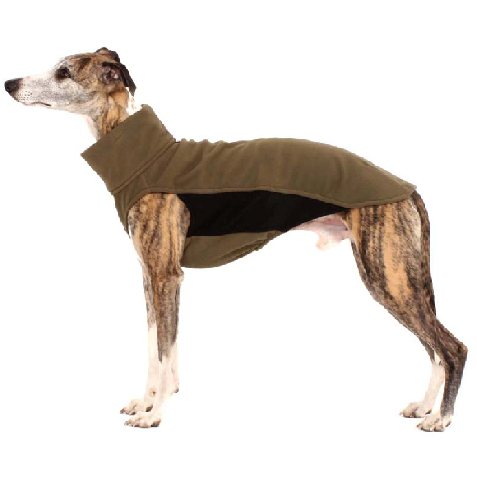 Bibomilano Sofa dog wear